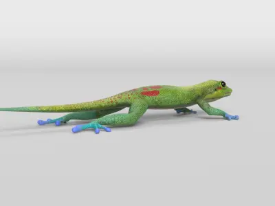 Gecko Low-poly 3D model