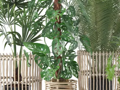 Plants collection 136 3D model