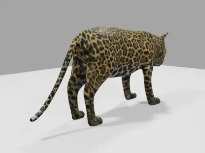 Jaguar - Ounce - Onca Pintada Low-poly 3D model