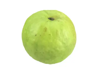 Photorealistic Guava 3D Scan 3D model