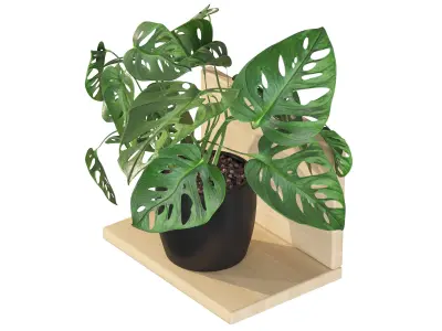 Monstera monkey mask 01 3D model