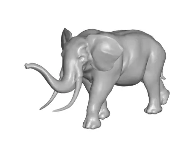 Elephant 3D model order
