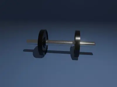 A Dumbbell Model 3D model