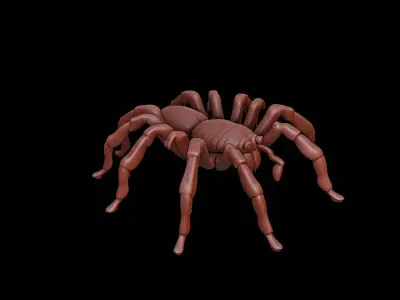 Spider Animal Sculpture 3D print model buy