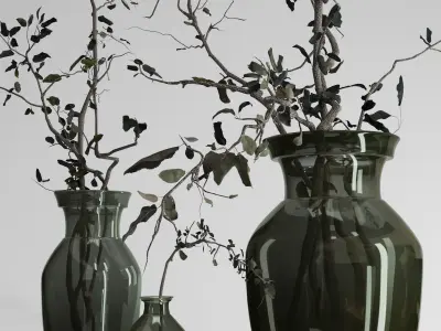 Dried Olive branch decor glass vase 3D model