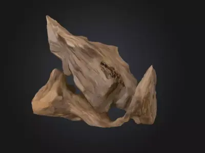 Desolate Driftwood Low-poly 3D model