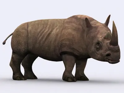 3DRT - Rhinoceros Low-poly 3D model