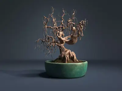 Bonsai tree in pot 3D model