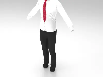 Full Outfit - shirt - pant - tie - 11 colors 3D model