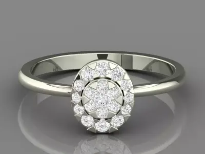 PRESSURE SETTING RING 07 3D print model