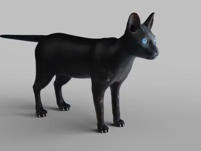 Cat Black NO Rigged in Blender  Low-poly 3D model