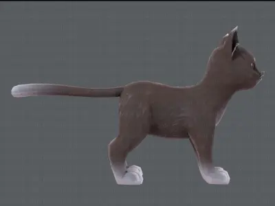 Cat Cartoon V03 Low-poly 3D model