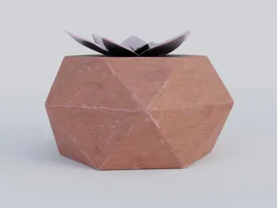 Succulent 3D model
