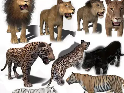 Unique Feline Pack - 3d lion model 3D model