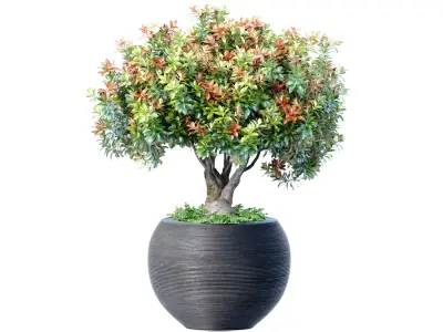 Decorative flowering tree in modern vase urn pot 3D model