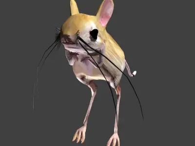 Jerboa mouse with long legs 3D model