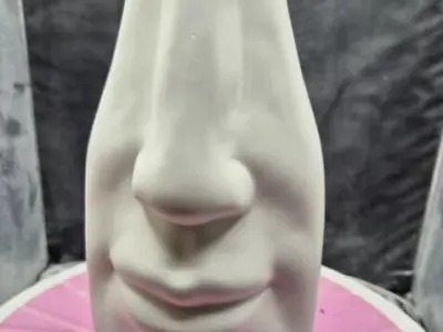 face flower vase decoration 3D print model