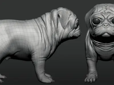 Pug Dog 3D model