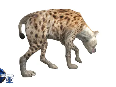 Hyena Rigged Animated Lowpoly 3D Model Low-poly 3D model