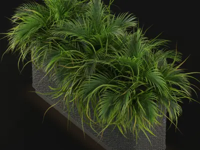 Plants collection 463 3D model