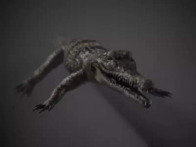 PBR Lowpoly Realistic Crocodile optimized for application Low-poly 3D model