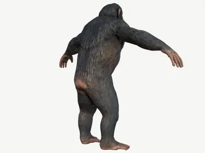 Chimpanzee Low-poly 3D model