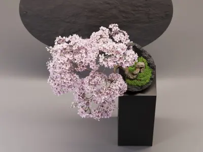 Bonsai sakura Low-poly 3D model