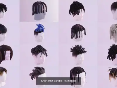 Short Hair Bundle 3D Model Collection