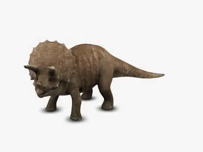 Triceratop 3D model