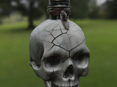 Cracked Skull Potion Bottle 3D model