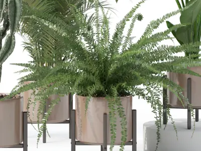 Plants collection 137 3D model