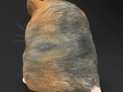 Hamster Toy with Peanut 3D model