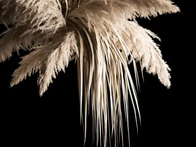 Hanging Bouquet Of Dry Reeds For Decoration 266 3D model