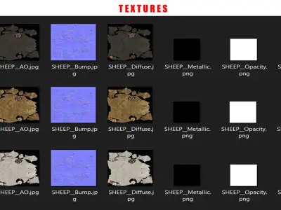 SHEEP ANIMATED 6 COLORS 3 Low-poly 3D model