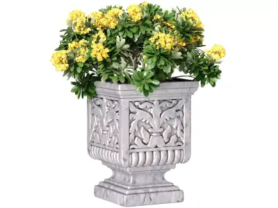 Outdoor garden plant tree in a marble vase planter urn flowerpot 3D model