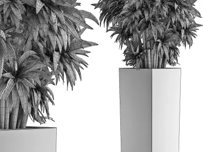 Plants Collection 45 3D model