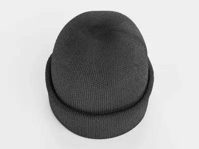 Winter Hat V1 - Dark Knitted Beanie with Folded Cuff 3D model