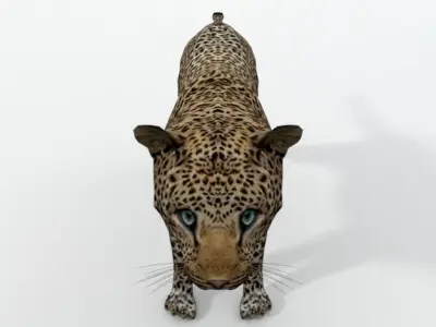Leopard Low-poly 3D model purchase