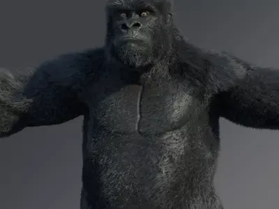 Gorilla 3D model