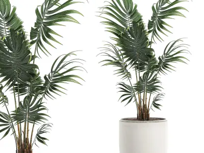 Decorative palm in a white flowerpot 520 3D model