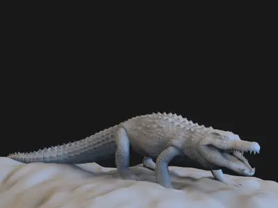 Crocodile 3D model