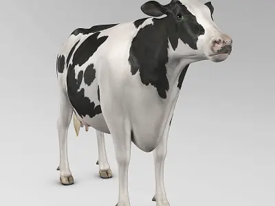 Cow Holstein 3D model