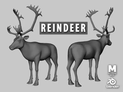 Reindeer Low-poly 3D model buy