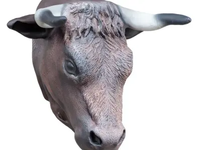 Decorative bull head on the wall 3D model
