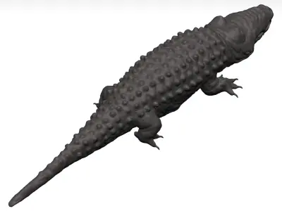 Alligator 3D model shop