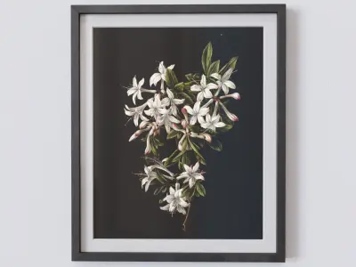Vintage Botanical Collection 1 Low-poly 3D model