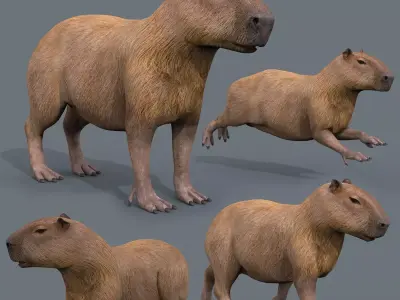 Capybara Capivara - 8k - 3d animated 3D model