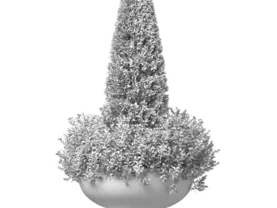 Decorative tree with flowers Porch Front Entrance Doors Patio  3D model