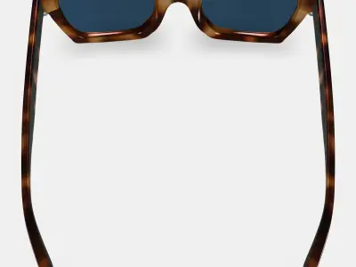 Sonia Sunglasses in Oak Barrel 3D model
