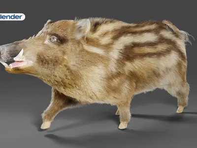 Fur Wild Boar V03 Rigged  Low-poly 3D model
